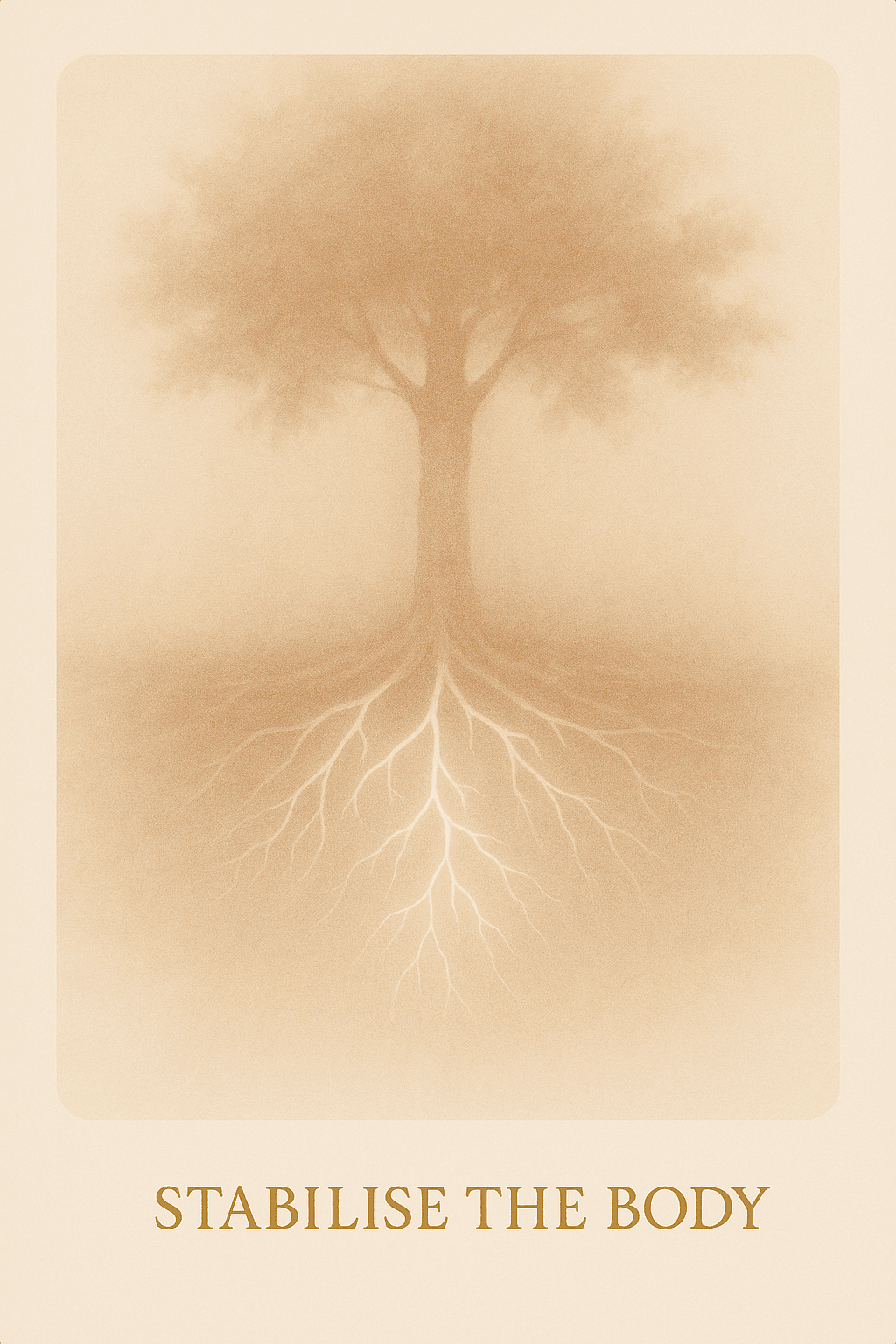 Quantum Oracle guidebook card showing a tree with roots and the phrase Stabilise the Body from Angelic Blessings Shop